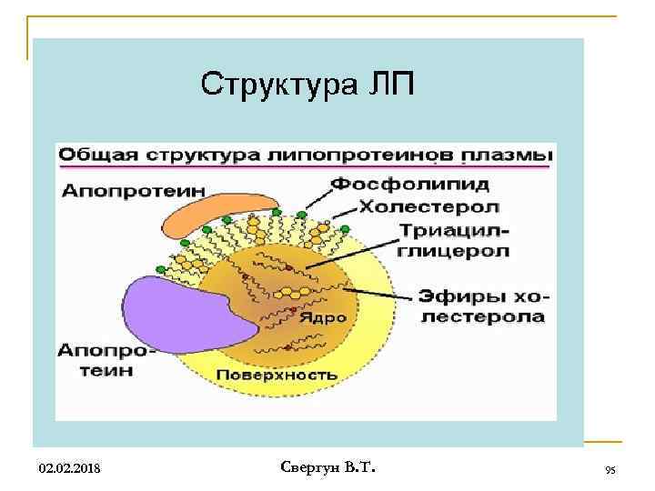 02. 2018 Свергун В. Т. 95 