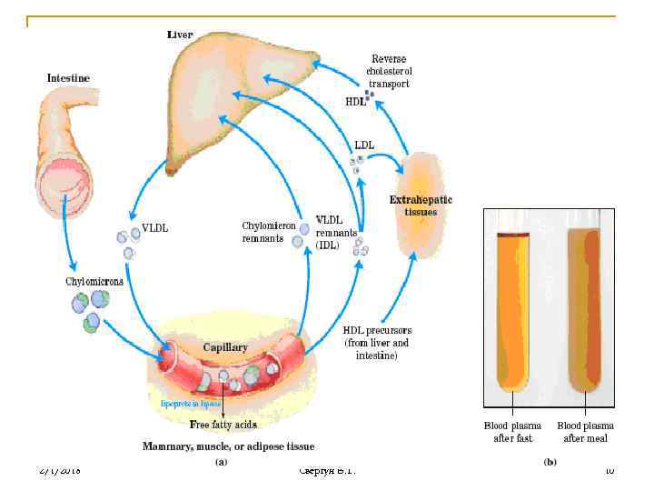 2/1/2018 Свергун В. Т. 10 