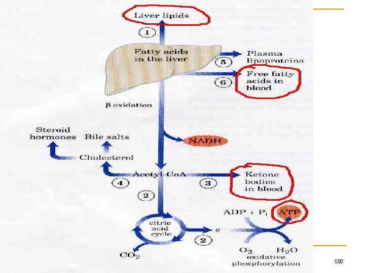 2/1/2018 Свергун В. Т. 100 