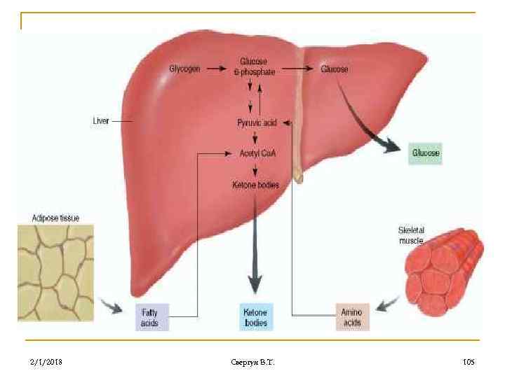 2/1/2018 Свергун В. Т. 105 