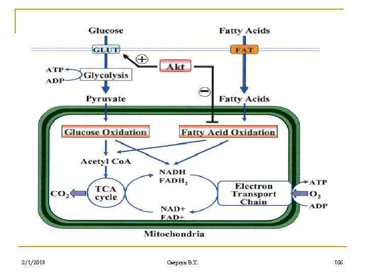 2/1/2018 Свергун В. Т. 106 