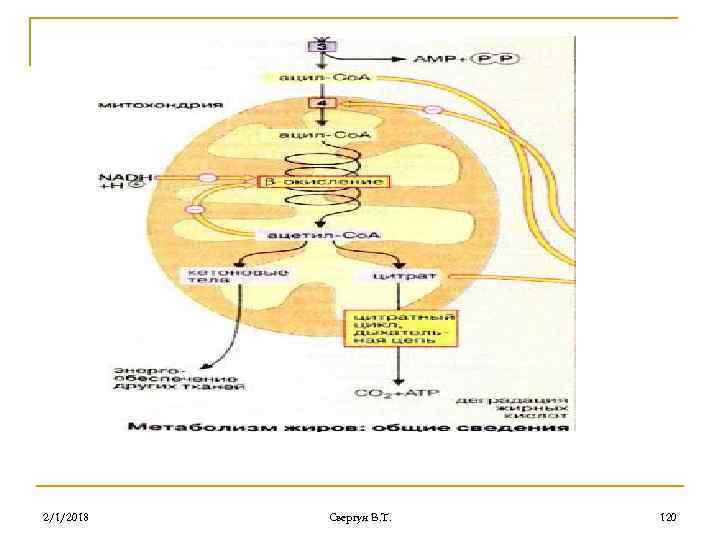 2/1/2018 Свергун В. Т. 120 