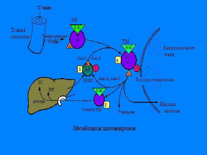 2/1/2018 Свергун В. Т. 13 