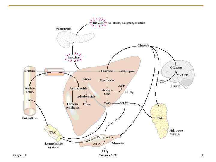 2/1/2018 Свергун В. Т. 3 