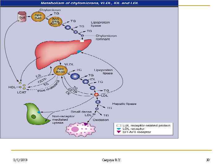 2/1/2018 Свергун В. Т. 30 