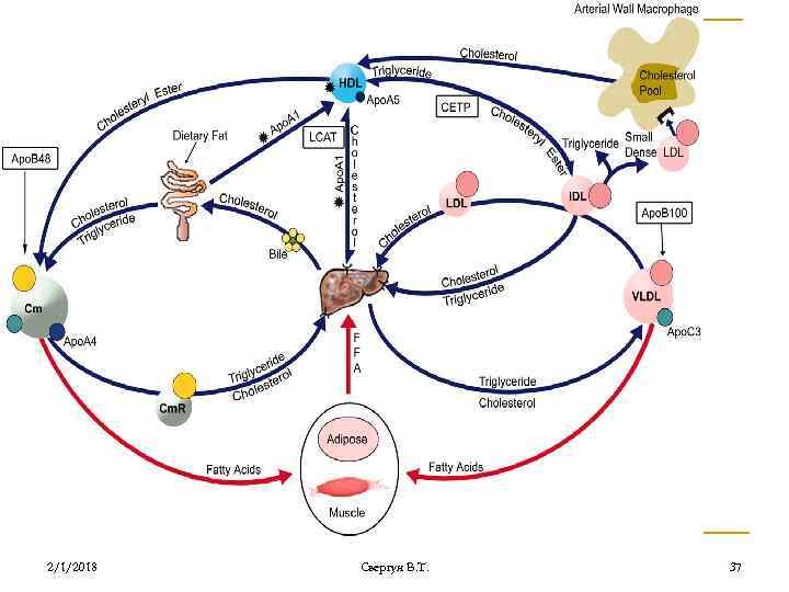 2/1/2018 Свергун В. Т. 37 