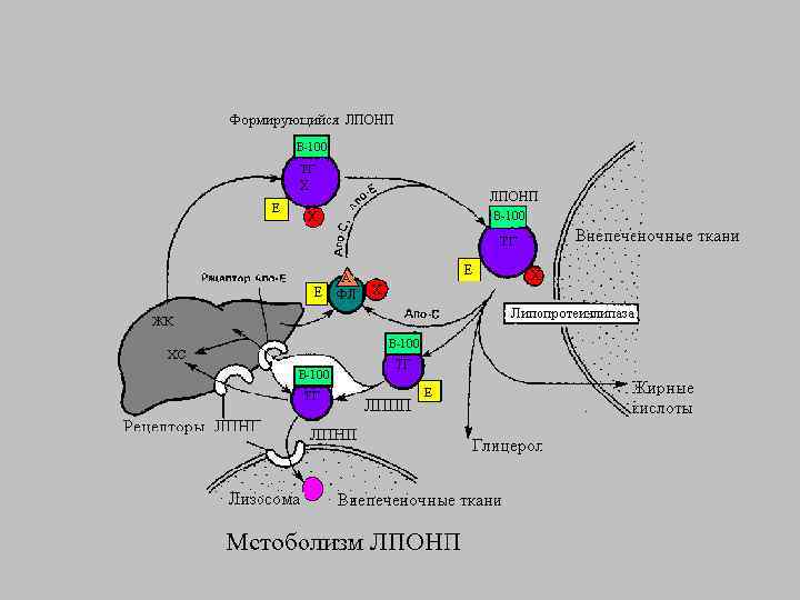 2/1/2018 Свергун В. Т. 44 