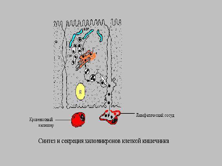 2/1/2018 Свергун В. Т. 7 