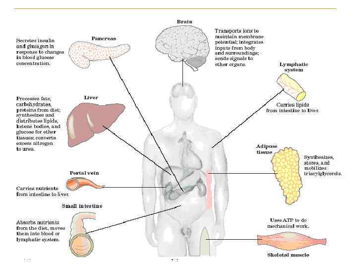 2/1/2018 Свергун В. Т. 73 