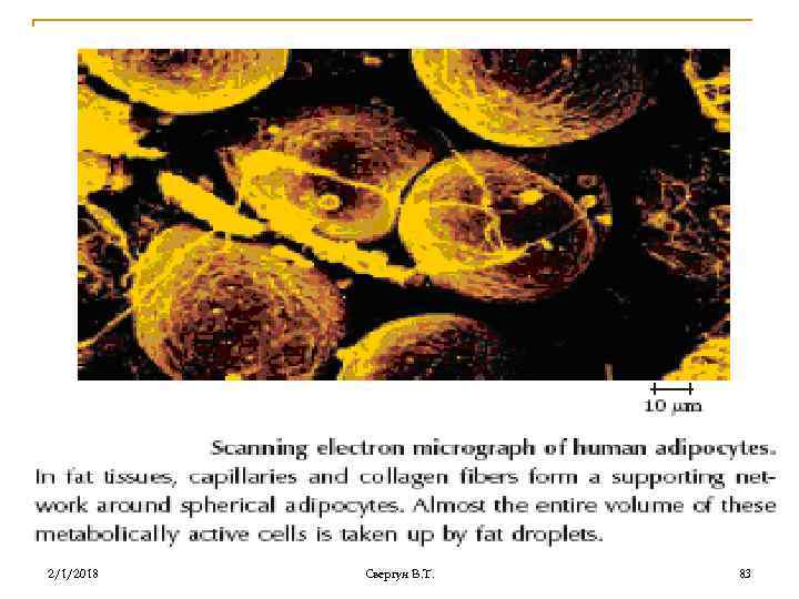 2/1/2018 Свергун В. Т. 83 