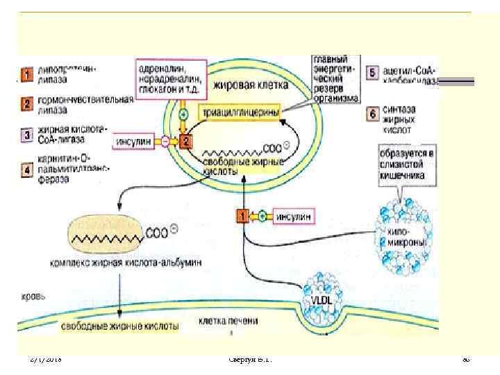 2/1/2018 Свергун В. Т. 86 