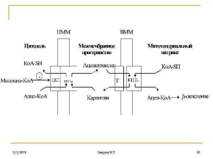 2/1/2018 Свергун В. Т. 91 