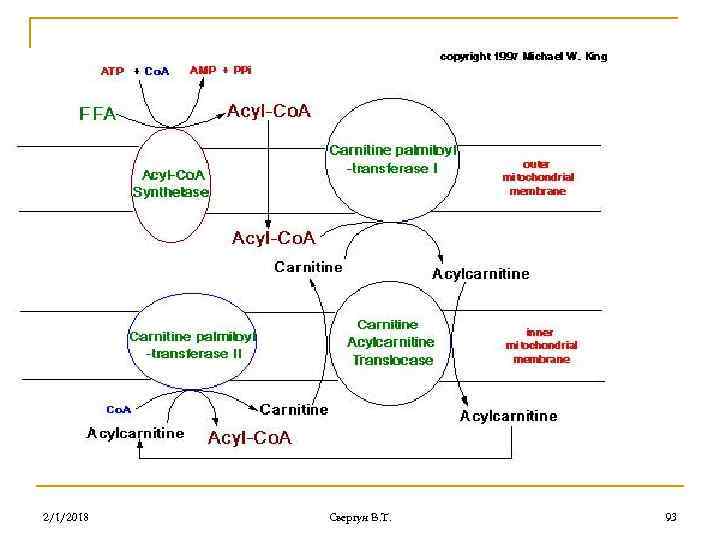 2/1/2018 Свергун В. Т. 93 