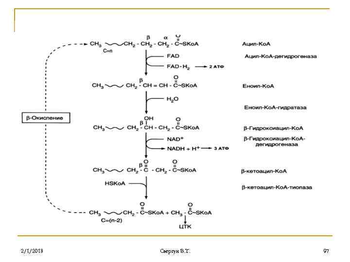2/1/2018 Свергун В. Т. 97 