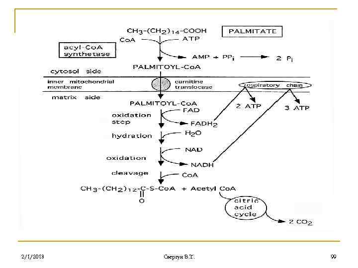 2/1/2018 Свергун В. Т. 99 