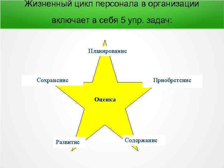 Жизненный цикл персонала в организации включает в себя 5 упр. задач: Планирование Сохранение Приобретение