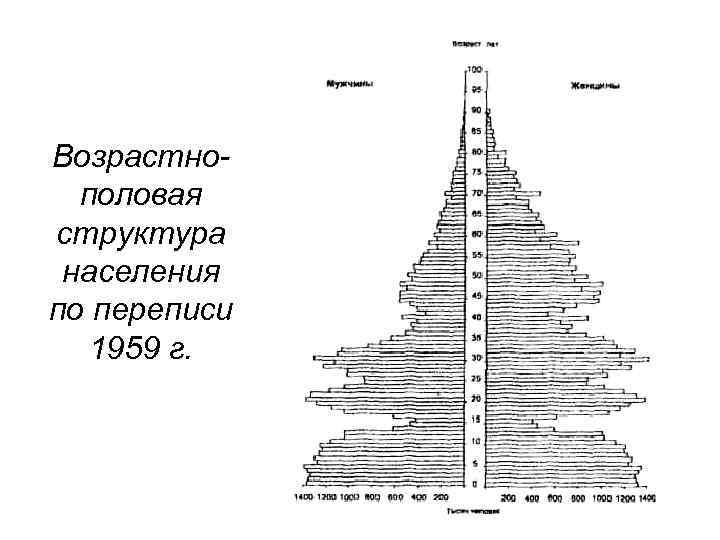 Половая структура населения