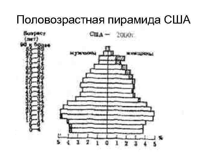 Какая форма половозрастной пирамиды. Демографическая пирамида CIF. Половозрастная пирамида США. Демография пирамида США. Возрастная половая пирамида США.