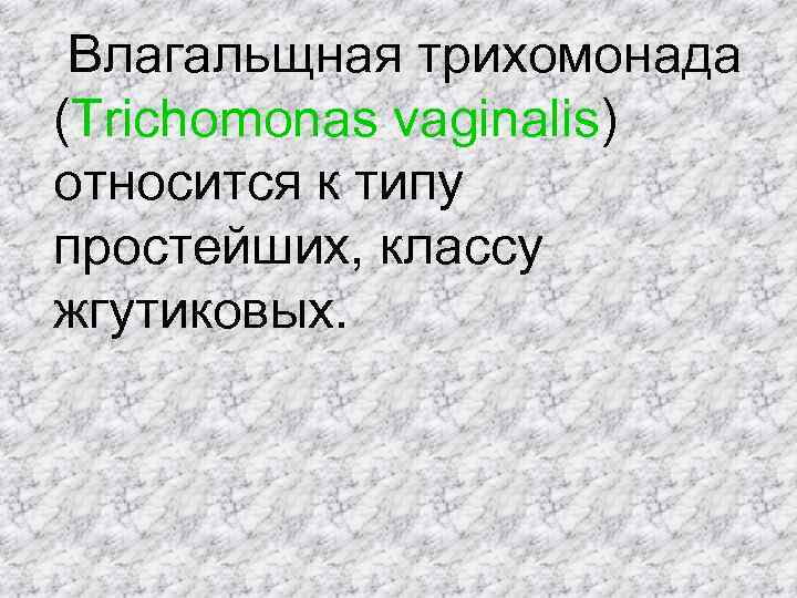  Влагальщная трихомонада (Trichomonas vaginalis) относится к типу простейших, классу жгутиковых. 