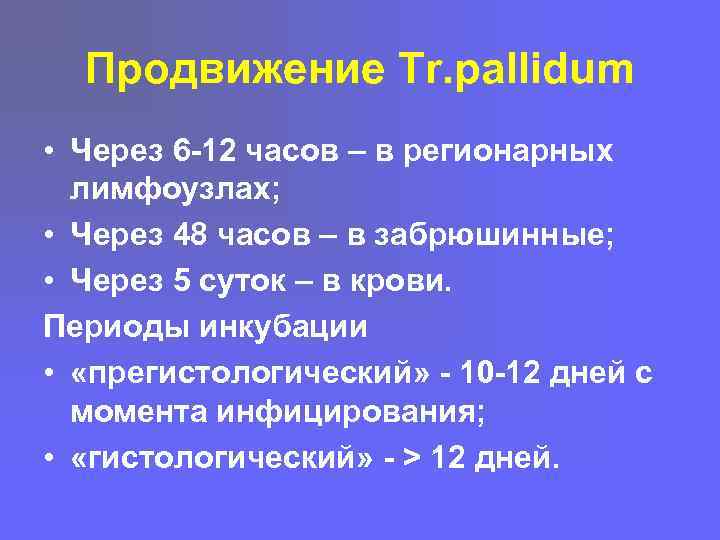 Продвижение Tr. pallidum • Через 6 -12 часов – в регионарных лимфоузлах; • Через