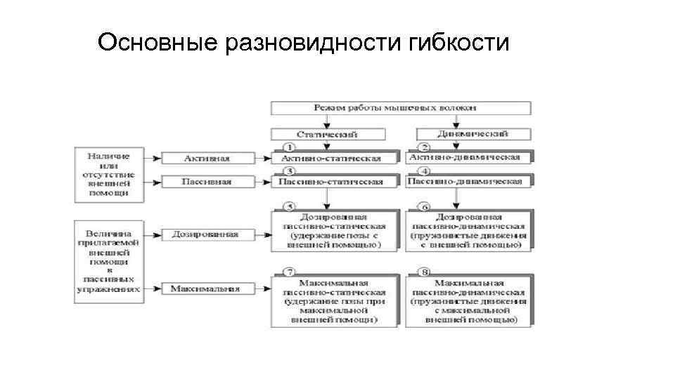 Основные разновидности гибкости 