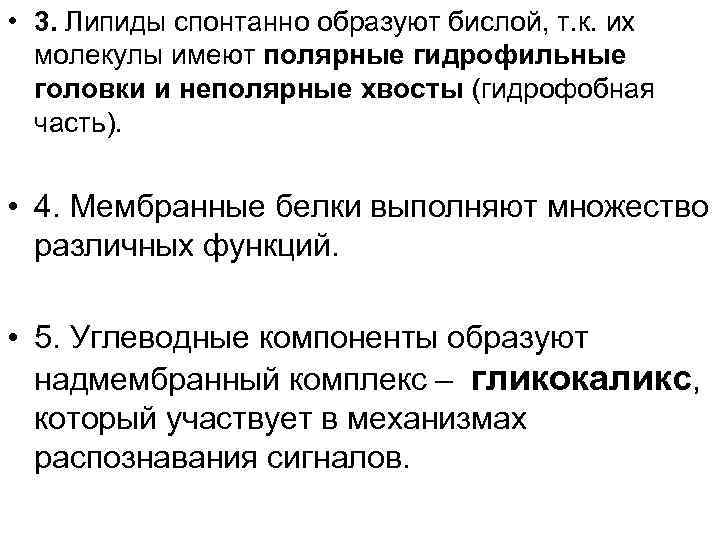  • 3. Липиды спонтанно образуют бислой, т. к. их молекулы имеют полярные гидрофильные