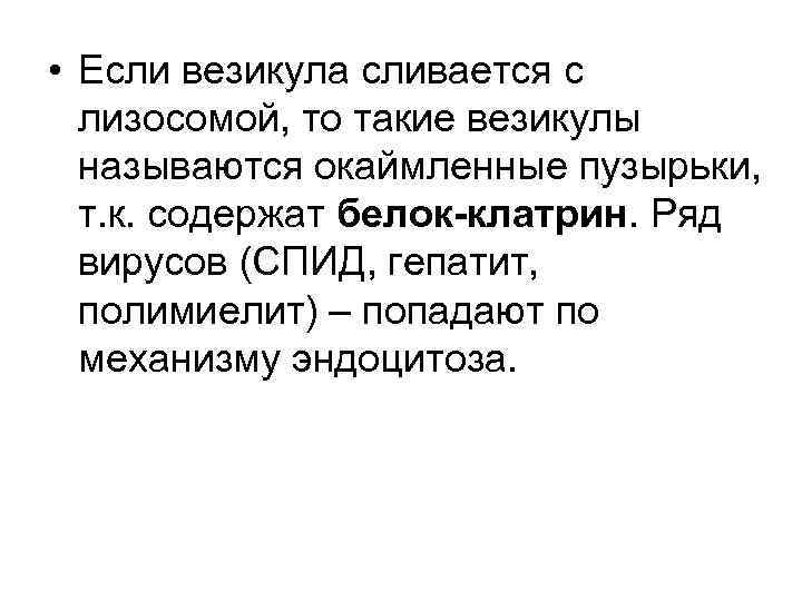  • Если везикула сливается с лизосомой, то такие везикулы называются окаймленные пузырьки, т.