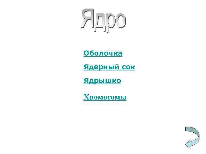 Оболочка Ядерный сок Ядрышко Хромосомы 