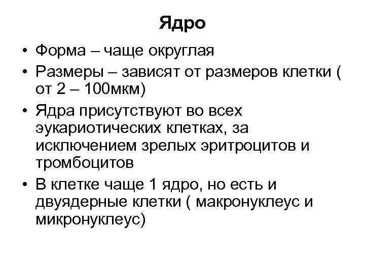 Ядро • Форма – чаще округлая • Размеры – зависят от размеров клетки (