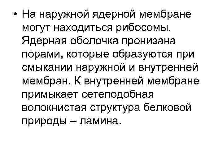  • На наружной ядерной мембране могут находиться рибосомы. Ядерная оболочка пронизана порами, которые
