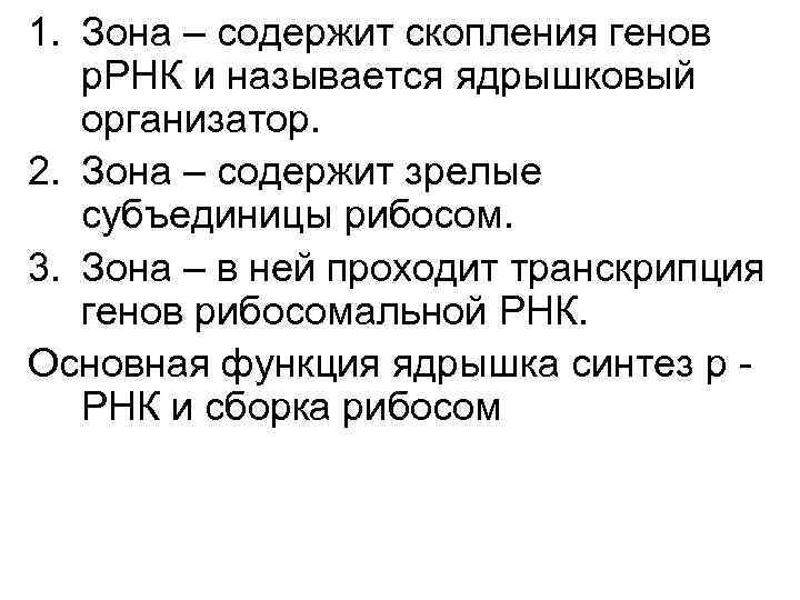 1. Зона – содержит скопления генов р. РНК и называется ядрышковый организатор. 2. Зона