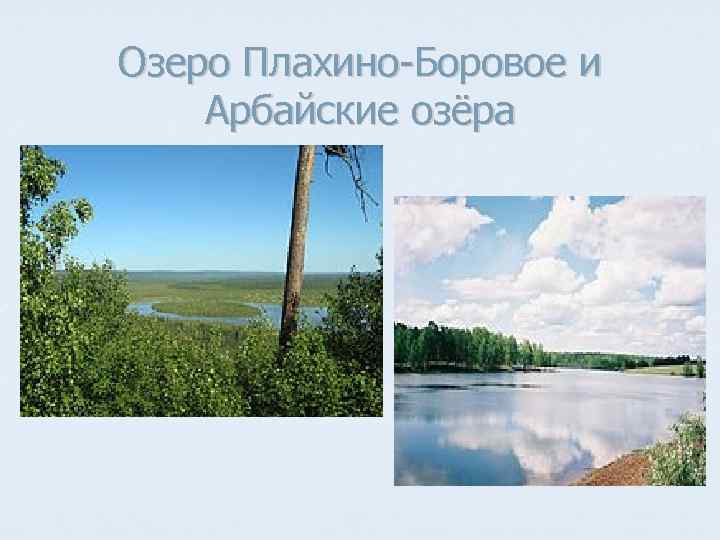 Озеро Плахино-Боровое и Арбайские озёра 