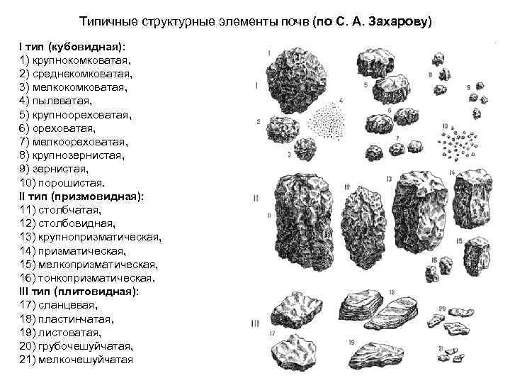 Типичные структурные элементы почв (по С. А. Захарову) I тип (кубовидная): 1) крупнокомковатая, 2)