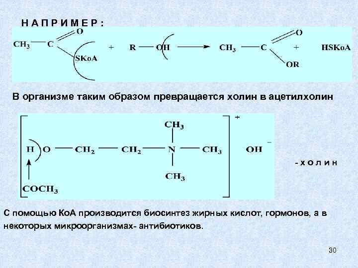 НАПРИМЕР: В организме таким образом превращается холин в ацетилхолин -холин С помощью Ко. А