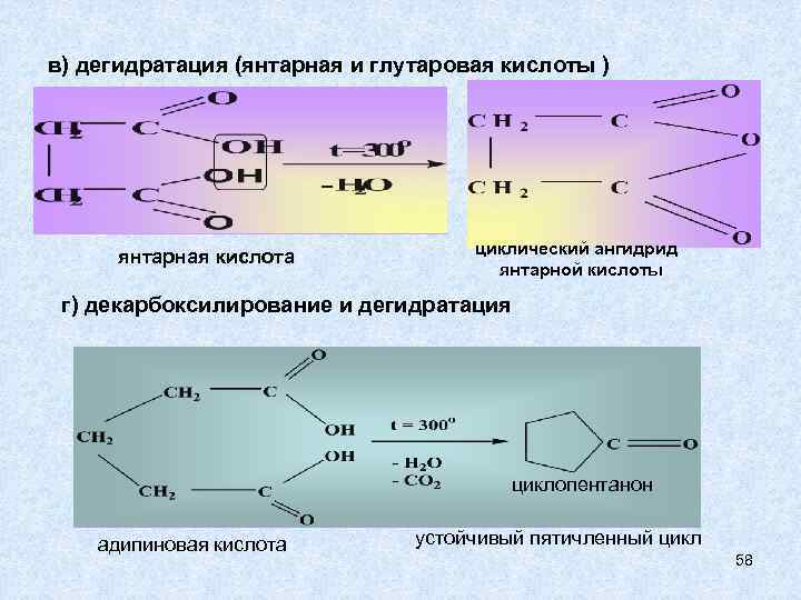 Дегидратация продуктов. Декарбоксилирование карбоновых кислот. Механизм реакции декарбоксилирования карбоновых кислот. Декарбоксилирование янтарной кислоты. Глутаровая кислота.