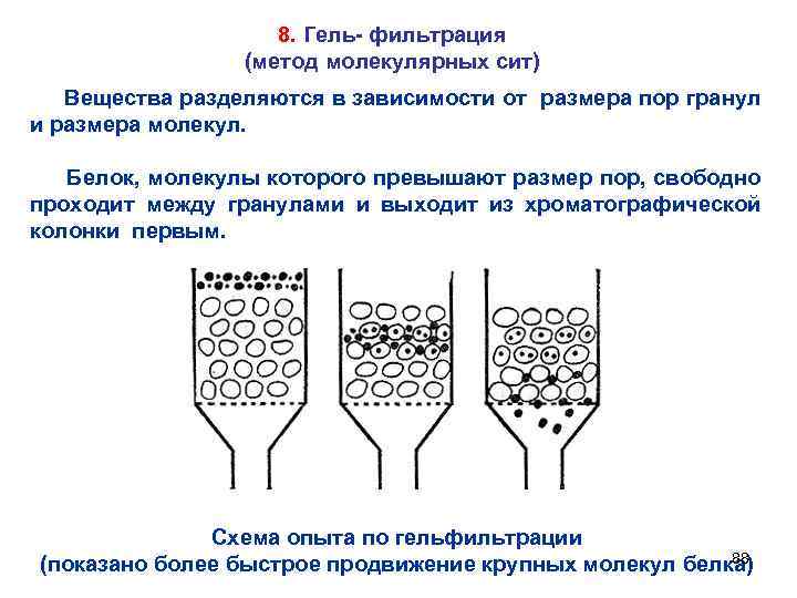 8. Гель- фильтрация (метод молекулярных сит) Вещества разделяются в зависимости от размера пор гранул