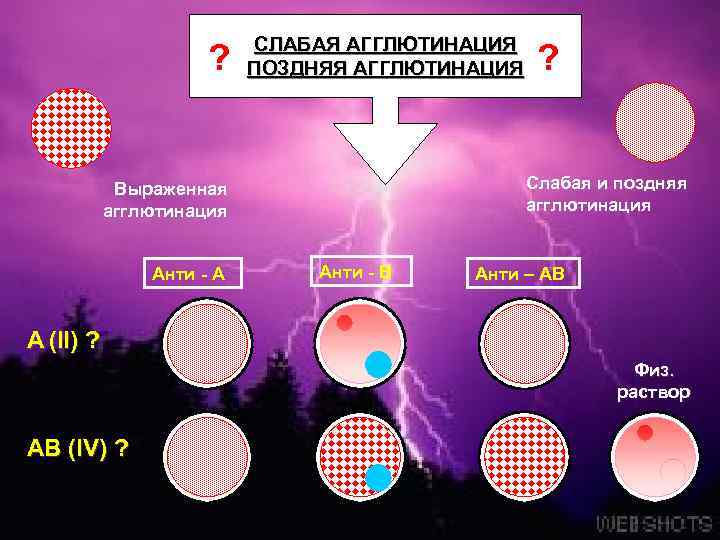 ? СЛАБАЯ АГГЛЮТИНАЦИЯ ПОЗДНЯЯ АГГЛЮТИНАЦИЯ Слабая и поздняя агглютинация Выраженная агглютинация Анти - А