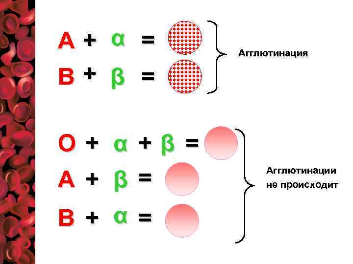 А+ α = В+ β = О + α +β = А + β