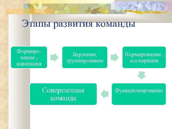 Этапы развития команды Формирование , адаптация Бурление, группирование Совершенная команда Нормирование , кооперация Функционирование