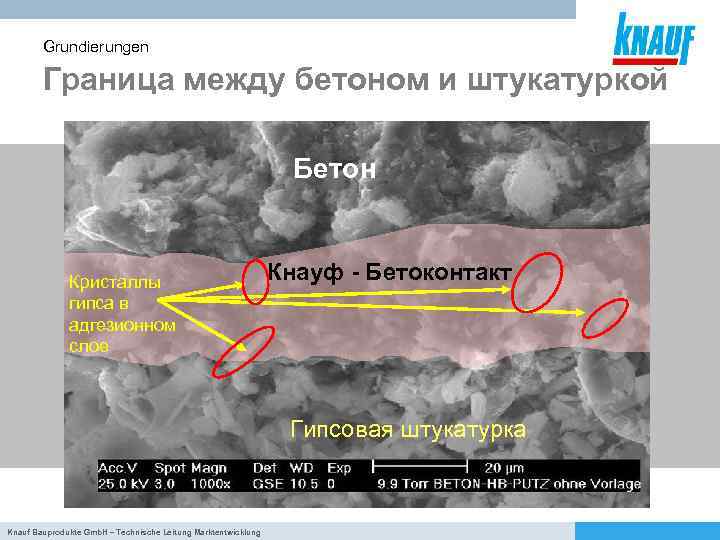 Grundierungen Граница между бетоном и штукатуркой Бетон Кристаллы гипса в адгезионном слое Кнауф -