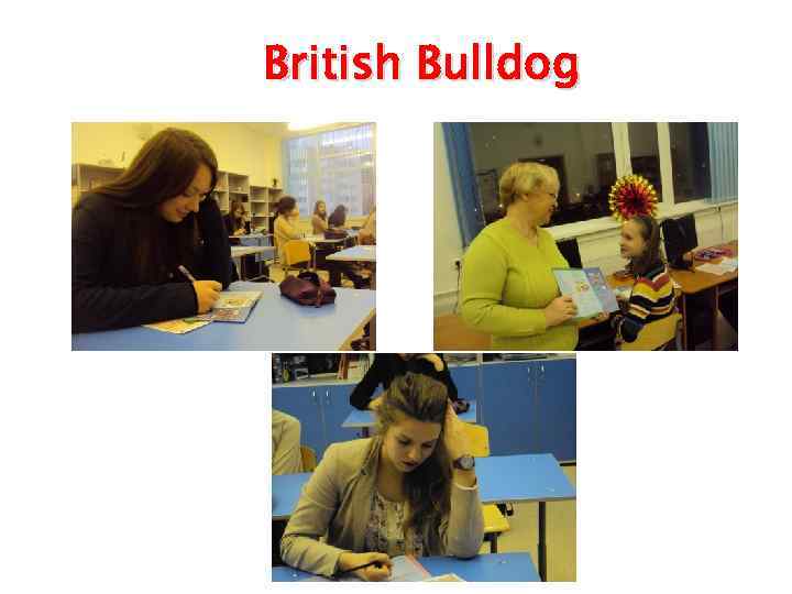 British Bulldog 