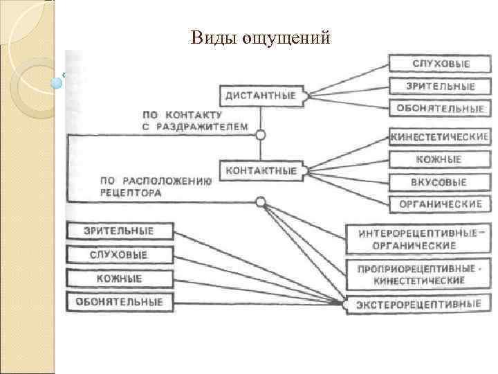 Виды ощущений 