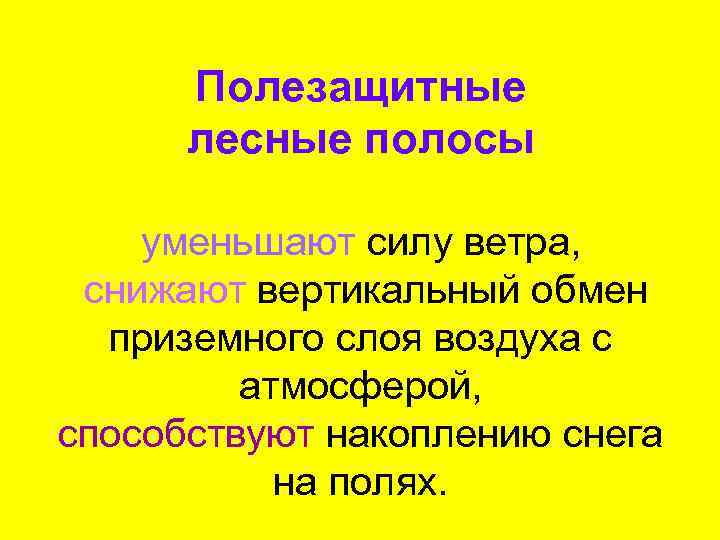 Полезащитные лесные полосы уменьшают силу ветра, снижают вертикальный обмен приземного слоя воздуха с атмосферой,