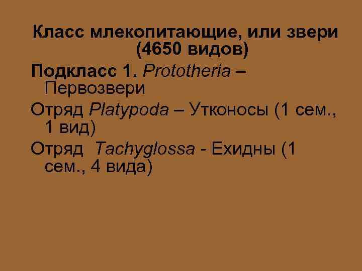 Класс млекопитающие, или звери (4650 видов) Подкласс 1. Prototheria – Первозвери Отряд Platypoda –