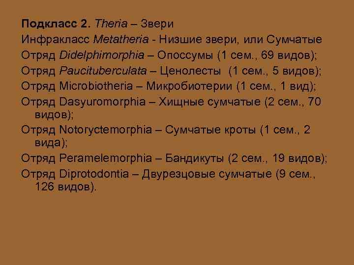 Подкласс 2. Theria – Звери Инфракласс Metatheria - Низшие звери, или Сумчатые Отряд Didelphimorphia