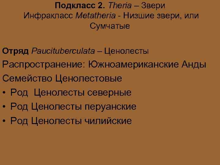 Подкласс 2. Theria – Звери Инфракласс Metatheria - Низшие звери, или Сумчатые Отряд Paucituberculata