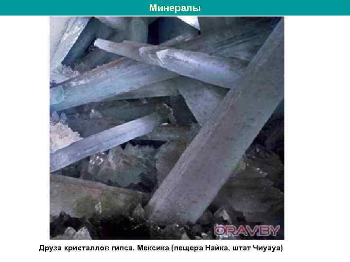 Минералы Друза кристаллов гипса. Мексика (пещера Найка, штат Чиуауа) 