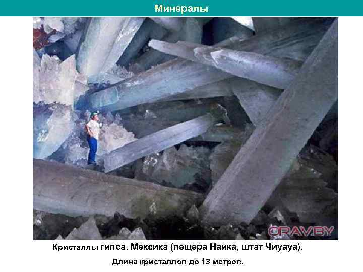 Минералы Кристаллы гипса. Мексика (пещера Найка, штат Чиуауа). Длина кристаллов до 13 метров. 