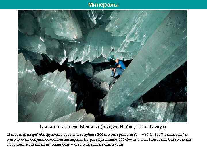 Минералы Кристаллы гипса. Мексика (пещера Найка, штат Чиуауа). Полость (пещера) обнаружена в 2000 г.