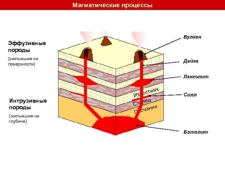 Какой цифрой на схеме формы глубинных тел образованных магматическими породами обозначен лакколит